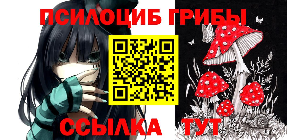 Псилоцибиновые грибы Magic Shrooms  Псилоцибиновые грибы Psilocybe  Урюпинск  Вход с VPN 